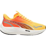 Puma Velocity NITRO 3 FADE Dame