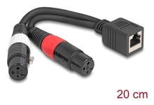 Delock Adapterkabel Rj45-Kontakt Til 2 X Xlr 3-Pinners Kontakt Svart 20 Cm (88178)