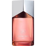 Mercedes Benz Perfume Herrdofter Air, Sea & Land Eau de Parfum Spray 100 ml (12.690,00 kr / 1 l)