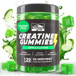 KP Creatine Monohydrate Gummies Apple for Men & Women, 100% Creatine Apple Gummies, 5g per Serving + Vegan, Sugar Free + Strength, Energy, Muscle & Booty Gain - 120 Count