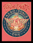 Aerosmith Aero Force One Souvenirs encadrés 30 x 40 cm