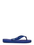 Hav. Top Blue Havaianas