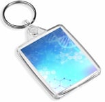 1 x Amazing DNA Molecule Bio Science - Keyring - IP02 - Mum Dad Kids Gift#3239