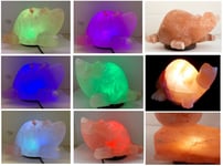 Himalayan Salt Lamp Turtle Shape Natural Pink Rock Salt Air Purify Ionize USB