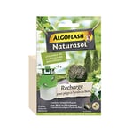 ALGOFLASH NATURASOL Recharge pour PiÃšge Pyrale du Buis, 3 capsules de phéromones, 6 mois d'efficacité, BIOPIBUIR