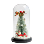 Christmas Tree in Glass Dome Small Christmas Tree Lighting