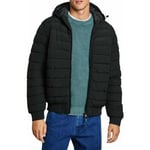 Manteau Pepe jeans  -