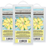 Yankee Candle Wax Melts Scented Home Room Fragrance Lemon Lime Popsicle 75g x3