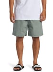 Quiksilver Homme Taxer Shorts, Sea Spray, M EU