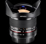 Fisheye Objectif 8mm 3,5 pour Canon 1000d 450d 500d 60d 550d 600d 50d 1100d 40d