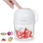 Hanmir Mini Hachoir à Ail électrique Hachoir à Aliments Sans Fil avec Chargement USB Hachoir de Robot Culinaire Portable pour Viande d'Oignon au Gingembre et au Chili (300 ml) hanmir-01