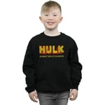 Sweat-shirt enfant Marvel  AKA Robert Bruce Banner