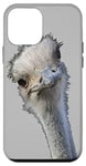 Coque pour iPhone 12 mini Visage d'autruche avec expression sans gorge