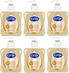 Carex Advanced Care Shea Butter Antibacterial Hand Wash Pack of 6, Hand Soap 3X