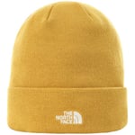 Bonnet The North Face  Norm Beanie