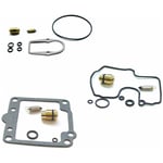 Reparationskit förgasare tourmax - Carburetor repair kit triumph bonneville t100