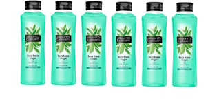 Alberto Balsam Tea Tree Shampoo 350ml x 6