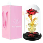 Rose Eternelle sous Cloche,Cadeau pour la Saint Valentin,Rose Eternelle Cadeaux de Fête des Mères,Artificielle Fleur Rose Lumière avec Lumières LED,Romantiques Cadeau pour Maman Anniversaire Femme