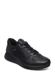 Exostride M Black ECCO