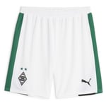 PUMA Borussia Mönchengladbach Football Shorts adult 770573 01