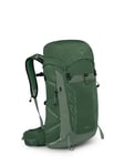 Osprey Talon 33 ryggsekk herre Green Canopy Pine Leaf 2025