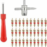 Roleader - Demonte Valve Pneu Outil,32 pcs Réparation de Valve de Pneu de Voiture Pneu Outil de Valve Voies avec 30 pcs Obus de Valve des Pneus pour