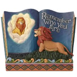 Piece de Collection Livre Le Roi Lion