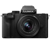 Panasonic Lumix DC-G100DVEBK Mirrorless Camera with 12-32 mm f/3.5-5.6 Lens - Black, Black