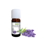 Lavender Organic Essential Oil, 10ml