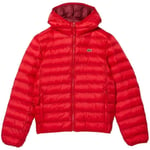 Blouson Lacoste  Blouson court homme  Ref 57993 240 Rouge