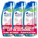 Head & Shoulders Pure Intense Purification En Douceur Shampooing Antipelliculaire 6x250 ml, Aux Agrumes, Pour Cuir Chevelu Gras, Jusqu’à 100 % des pellicules éliminées