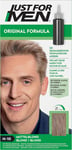 Just For Men Blonde Hair Dye - Grey Coverage, Natural Look, H10, Easy Applicatio