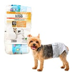 MISTER ZOO - Couches Jetables Unisexe pour Chien, Culotte Hygiénique Super Absorbante pour Animaux de Compagnie, Anti-Fuite et avec Bande Ajustable, Taille L