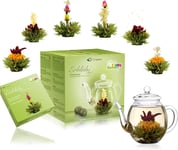 Blooming Tea Gift Set - 6 Flowering Tea Balls & Glass Teapot - Green Tea