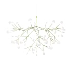 Moooi - Heracleum III, Suspended Large Green - Grön - Takkronor