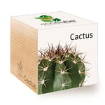 Feel Green Ecocube Cactus Exotics, Idée Cadeau (100% Ecologique), Grow-Your-Own/Kit Prêt-à-Pousser, Plantes Dans Des Cubes En Bois 7.5cm, Produit En Autriche