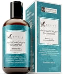 Anti-Dandruff Shampoo, Sulphate-Free, 5x More Potent for Dry, Itchy Scalp Relief