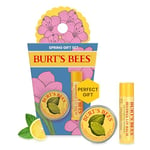 Burt's Bees Coffret cadeau pour les lèvres et les mains, baume à lèvres à la cire d'abeille et mini crème à cuticules, édition limitée Spring Surprise