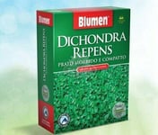 Pelouse Dichondra Repens 200GR