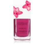 Gabriella Salvete Flower Shop long-lasting nail polish shade 13 Orchid 11 ml