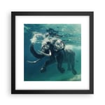 Affiche Poster 30x30cm Tableaux Image Photo éléphant animal eau Wall Art