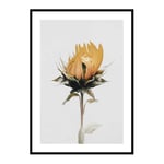 Poster Gallerix Yellow Sunflower