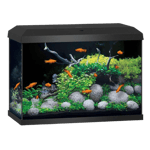 Akvarium Primo 70 Black 2.0 61x31x44 cm 70L - Akvaristen - Akvarium & møbler - Akvarium - Juwel