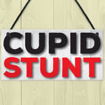 Cupid Stunt Funny Man Cave Home Bar Shed Pub Hanging Plaque Friendship Gift Sign