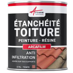 Étanchéité Toiture: Peinture ARCAFILM Produit Étanche pour Tuile et Fibrociment ARCANE INDUSTRIES Tuile - 0.75L