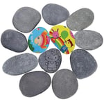 12Pcs Painting Rock - Pebbles for Painting, Painting Pebbles Smooth Natural River Stone, Hand Picked Rocks for Painting Stones, Large Pebbles Beach Pebbles for DIY Arts,Craft, Garden Decoration 7-10CM