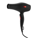 Cera Pro DC Hair Dryer