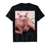 Cute Bald Bingus My Beloved Hairless Sphinx Cat T-Shirt