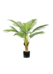 King hem grön lampa - 2020101414143883158306-1 - Areca Palm Plant H. 90 cm 9 Blad