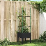 Jardinière Pot de Fleurs avec treillis noir 40x40x142,5 cm pp CVW85825